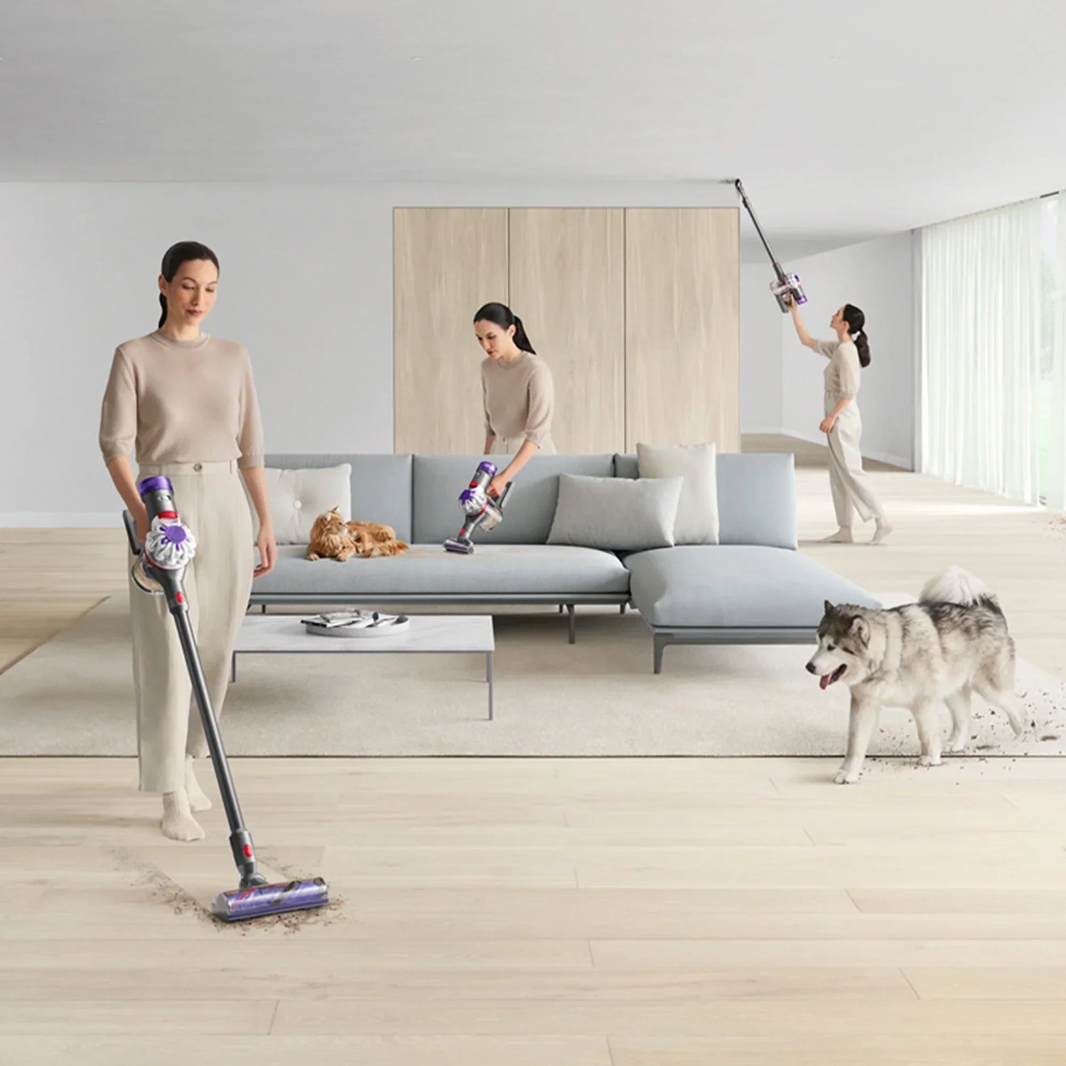 Dyson Vacuum Buying Guide: Pick the Right Model