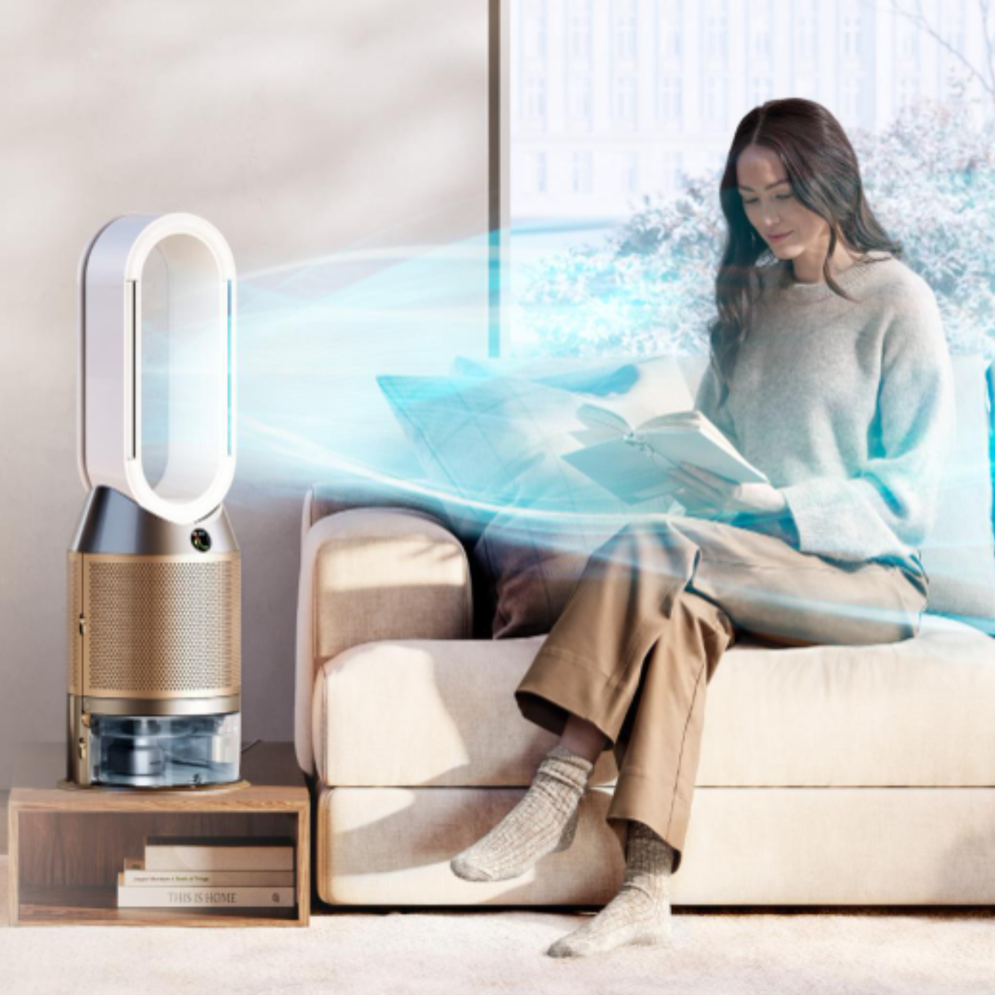 Air Treatment