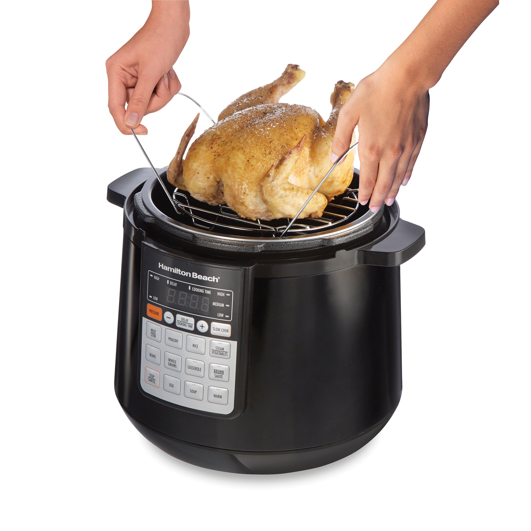 HAMILTON BEACH Autocuiseur électrique 6 Qt - 34501C