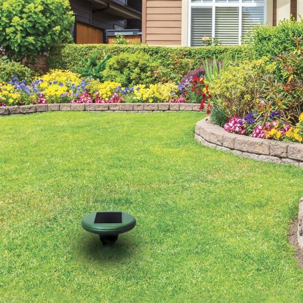 NEWTON Solar Rodent Repeller - RR200
