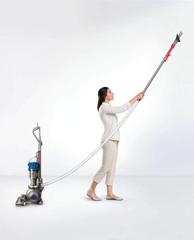 SORTIE OFFICIELLE DYSON - Aspirateur vertical Big Ball - Remis à neuf avec garantie Dyson de 2 ans (Excellent) - DC66